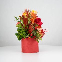 گل یلدای Y15 - 28