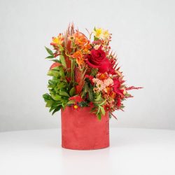 گل یلدای Y15 - 29