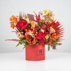 گل یلدای Y15 - 34