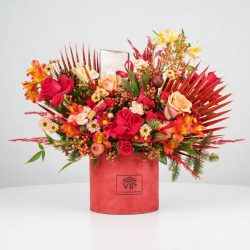 گل یلدای Y15 - 37