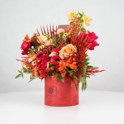 گل یلدای Y15 - 44