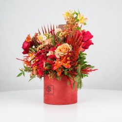 گل یلدای Y15 - 45