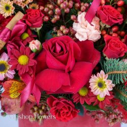 گل یلدای Y15 - 49