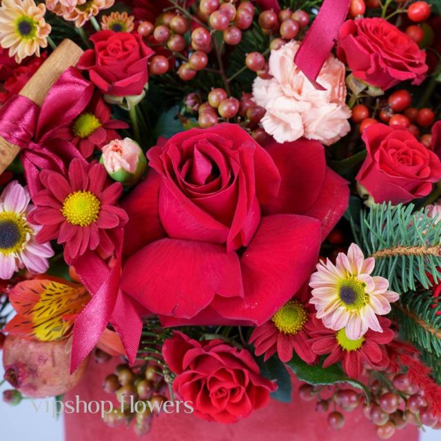 گل یلدای Y15 - Image 49