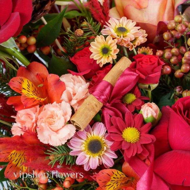 گل یلدای Y15 - Image 50
