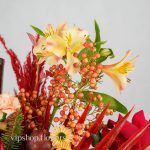 گل یلدای Y15 - Image 51