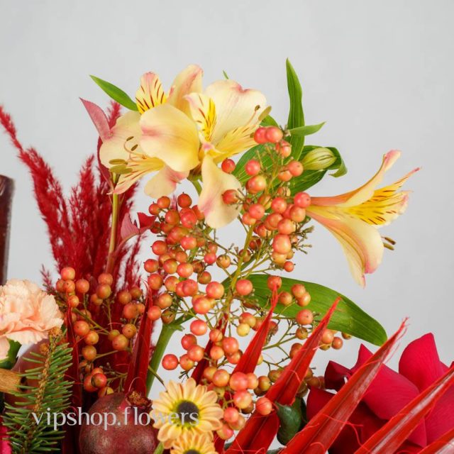 گل یلدای Y15 - Image 51