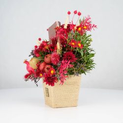 گل یلدای Y02 - 4