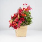 گل یلدای Y02 - Image 5