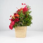 گل یلدای Y02 - Image 8