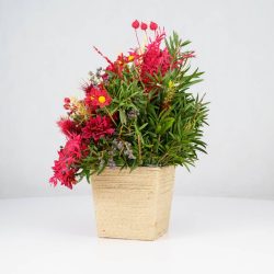 گل یلدای Y02 - 9