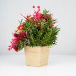 گل یلدای Y02 - Image 11