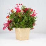 گل یلدای Y02 - Image 14