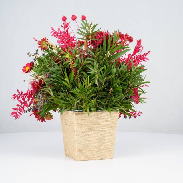 گل یلدای Y02 - 15