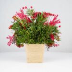 گل یلدای Y02 - Image 17