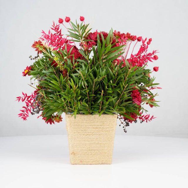 گل یلدای Y02 - 17