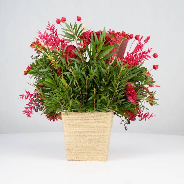 گل یلدای Y02 - 18