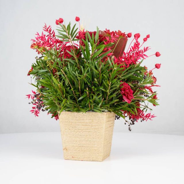 گل یلدای Y02 - 19