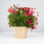 گل یلدای Y02 - Image 20