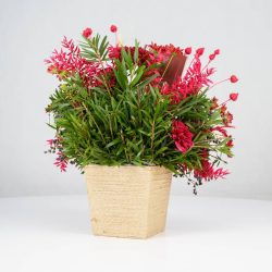 گل یلدای Y02 - 20