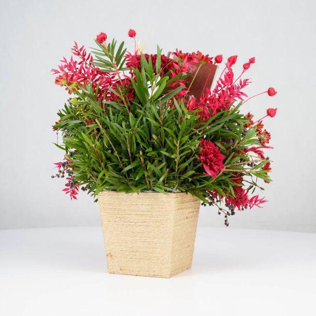 گل یلدای Y02 - 20