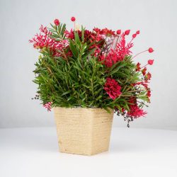 گل یلدای Y02 - 21
