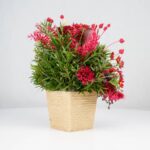 گل یلدای Y02 - Image 23