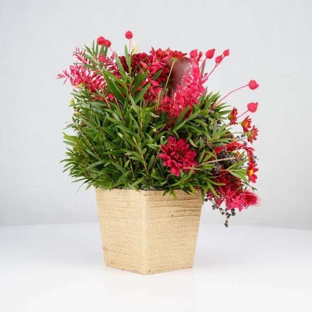 گل یلدای Y02 - 23