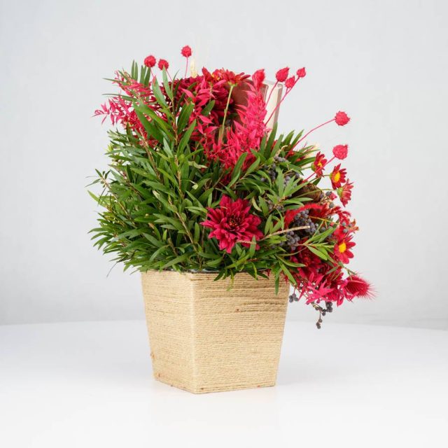 گل یلدای Y02 - 24