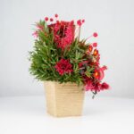 گل یلدای Y02 - Image 25