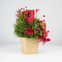 گل یلدای Y02 - 25