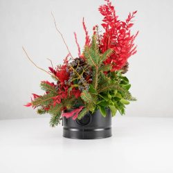 گل یلدای Y10 - 19