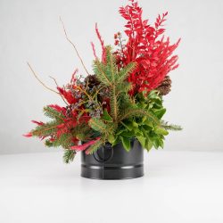 گل یلدای Y10 - 20