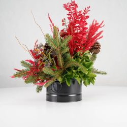 گل یلدای Y10 - 21