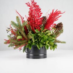 گل یلدای Y10 - 24