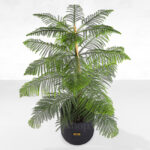 گلدان آپارتمانی کاج مطبق - گلفروشی آنلاین VIP Shop