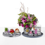 خرید ست‌سیمانی نوروز آلسترومیا