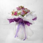 قرنفل بسیار زیباست و می‌درخشد.