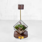 طبیعتی کوچک با تراریوم مکعبی نوری