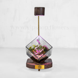 تراریوم نوری - گلفروشی آنلاین vipshop