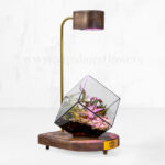 ترایریوم مکعبی شماره 13- گلفروشی آنلاین vipshop