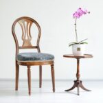 عکس نزدیک گل ارکیده رزد و بنفش