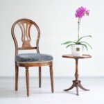 ارکیده بنفش رگه سفید تک شاخه از گیاهان پرطرفدار و ویژه است.