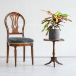 کروتون پامرغی کوچک مناسب همه جا است.