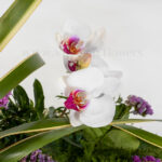 خرید آنلاین سبد گل حصیری با گل ارکیده