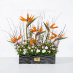 باکس گل موج دار گل استرلیتزیا