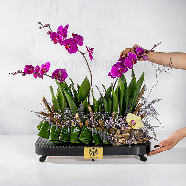 خرید اینترنتی جعبه گل مشکی با گل ارکیده با ارسال رایگان در تهران