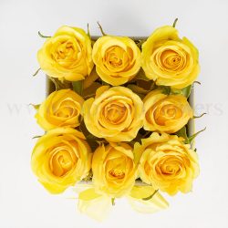 رز زرد های هلندی بهترین کادو است.