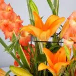 باکس گل چوبی با ترکیب گل نارنجی ظاهر زیبایی دارد.