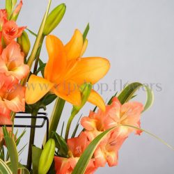 طیف رنگ نارنجی در گل های این محصول چشمگیر است.